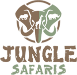 Jungle Safari